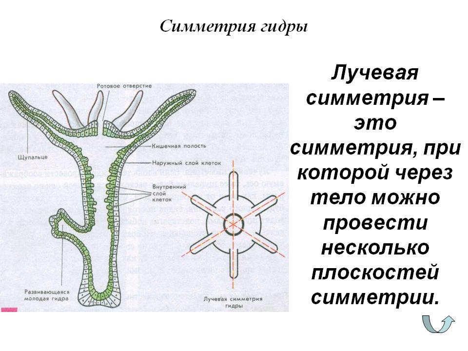 Актуальная ссылка на кракен kraken014 com