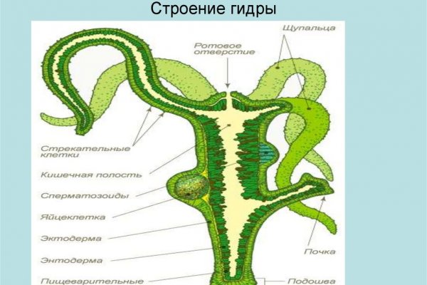 Не могу зайти на сайт кракен