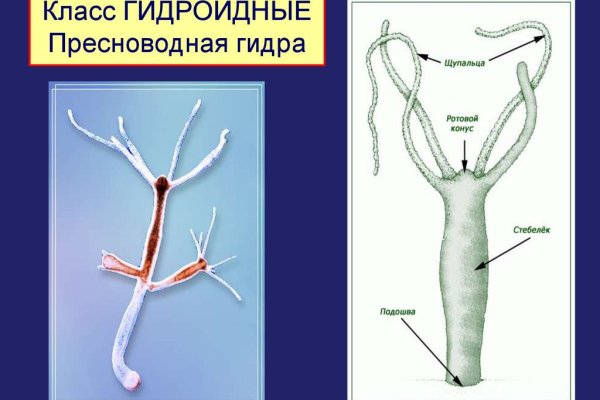 Войти даркнет